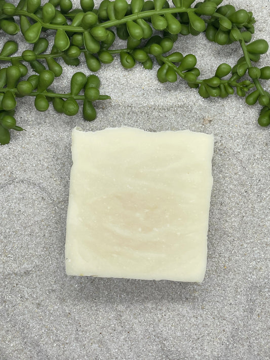 I Dream of Tea Tree